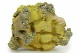 Golden Pyrite on Limonite Clay - Pakistan #283727-1